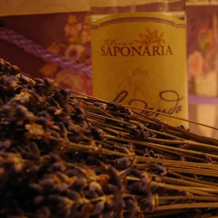 Chmielna Pensjonat 4*